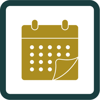 annual review icon